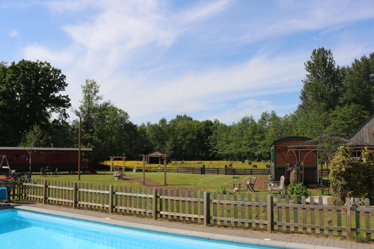 Pia B&B Babbita Hasselt Dış mekan fotoğraf