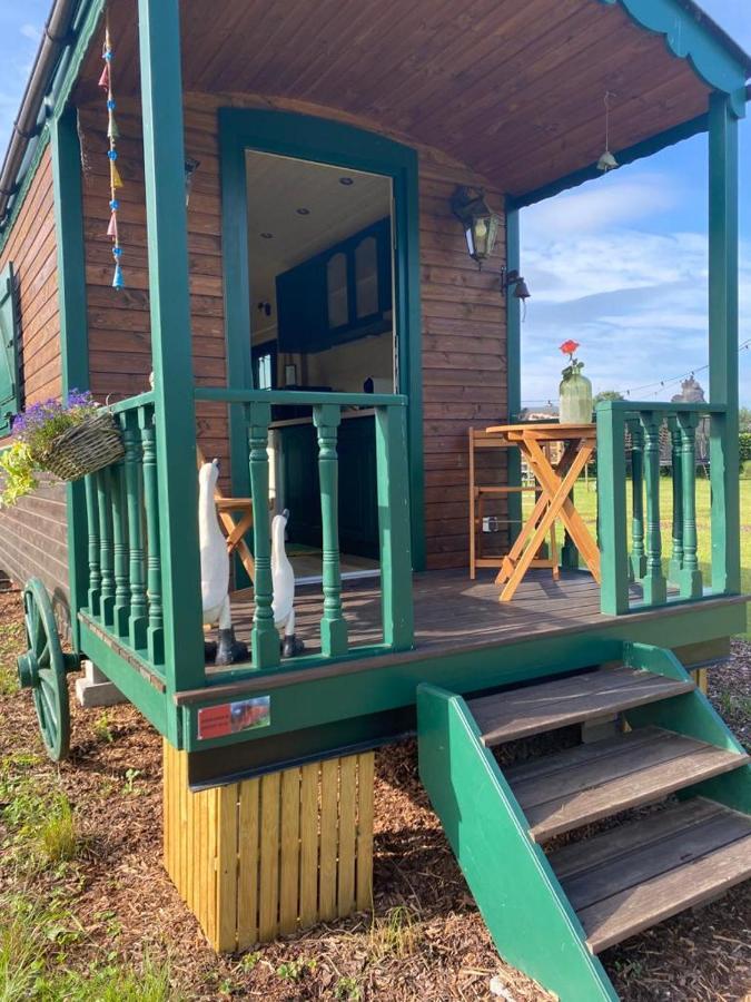 Pia B&B Babbita Hasselt Dış mekan fotoğraf