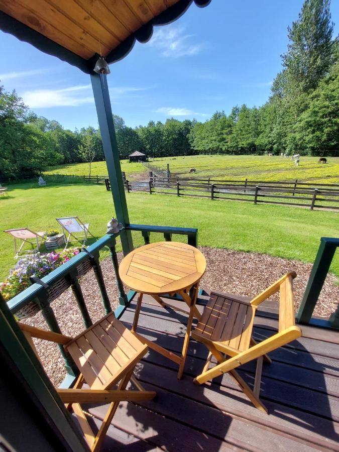 Pia B&B Babbita Hasselt Dış mekan fotoğraf